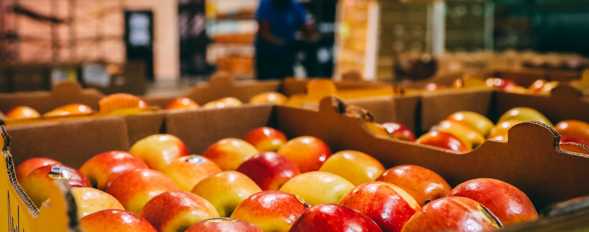 History Mississippi Food Network